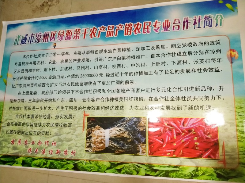脱水白菜粤北菜干净无泥沙（清远菜干60斤一件）
