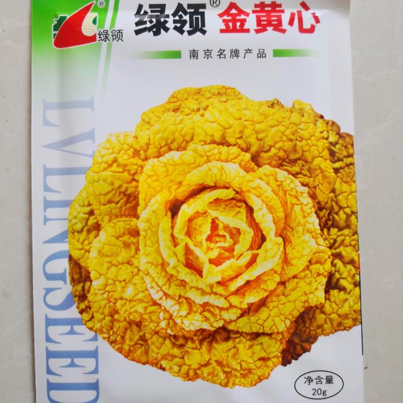 绿领黄心乌菜种子金黄心种籽乌塌菜四季白菜阳台蔬菜孑黑菜秋