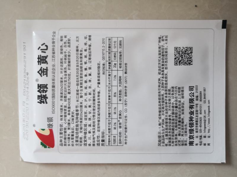 绿领黄心乌菜种子金黄心种籽乌塌菜四季白菜阳台蔬菜孑黑菜秋