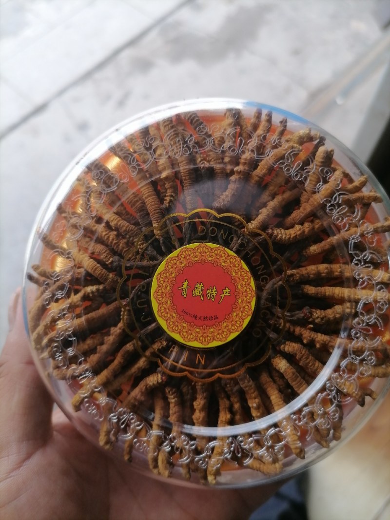精品冬虫夏草带礼盒发往全国包邮到家