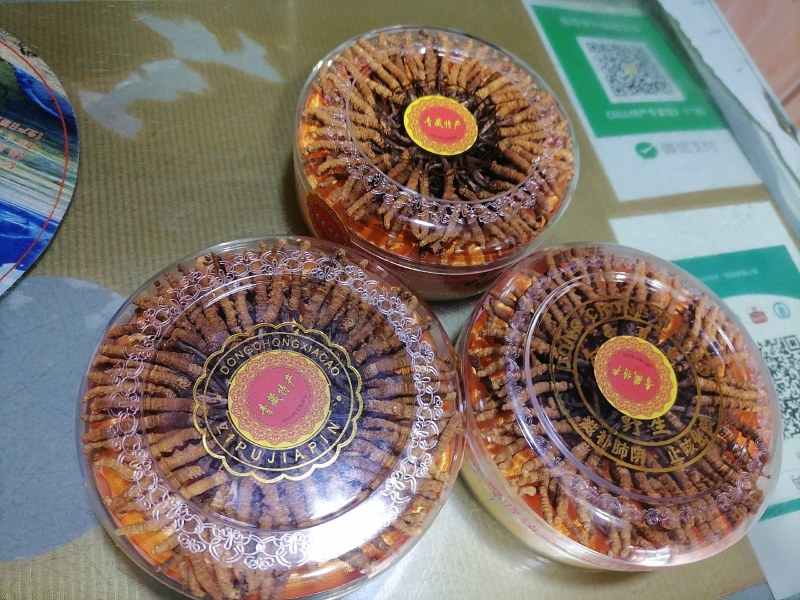 精品冬虫夏草带礼盒发往全国包邮到家