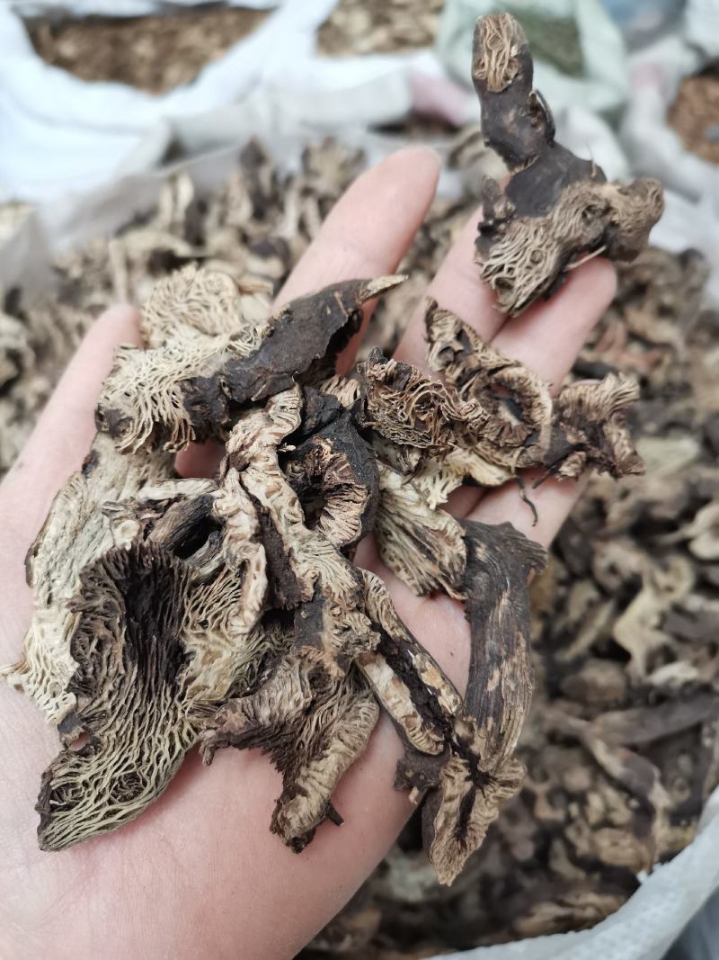 北升麻升麻片无硫熏规格齐全量大从优