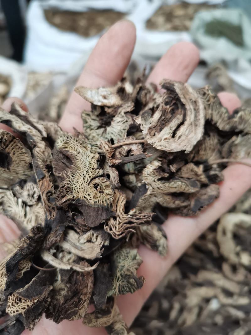 北升麻升麻片无硫熏规格齐全量大从优