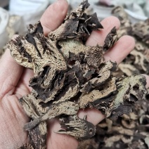 北升麻升麻片无硫熏规格齐全量大从优