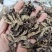北升麻升麻片无硫熏规格齐全量大从优
