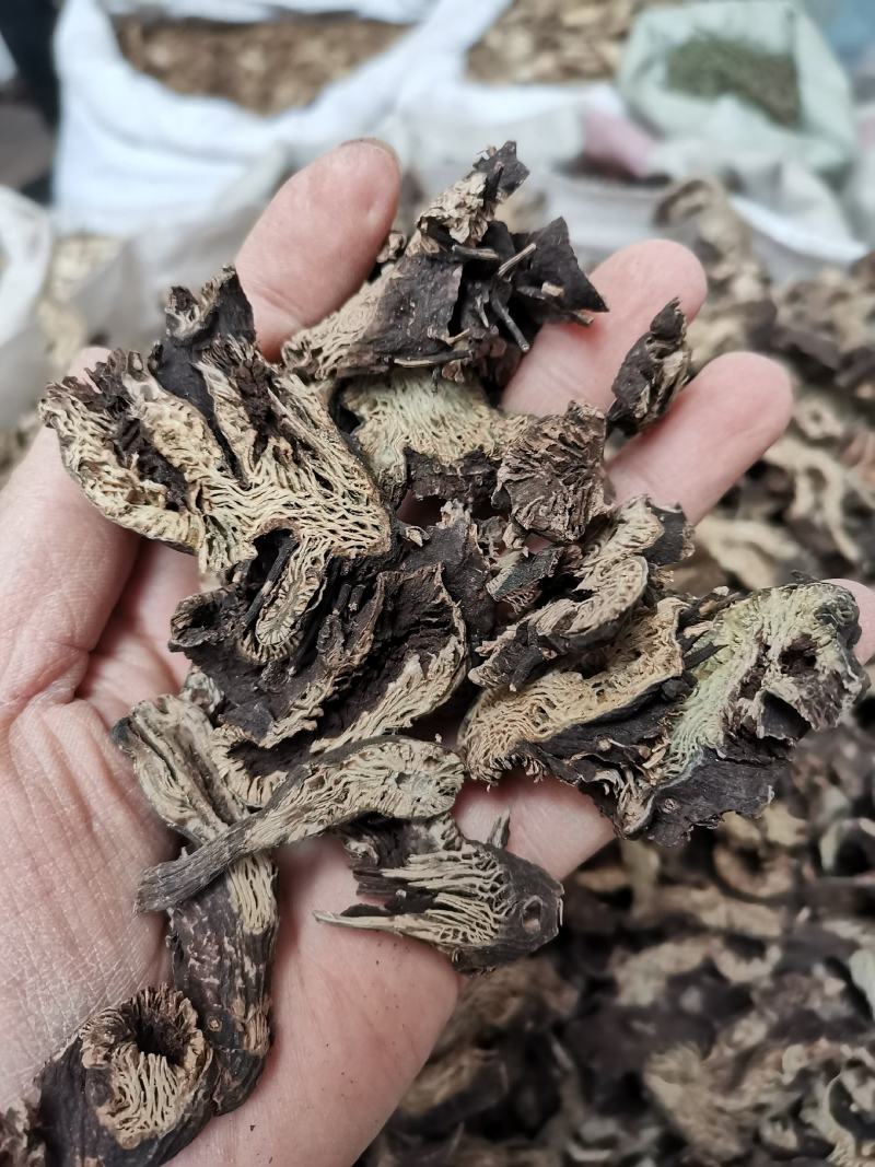 北升麻升麻片无硫熏规格齐全量大从优