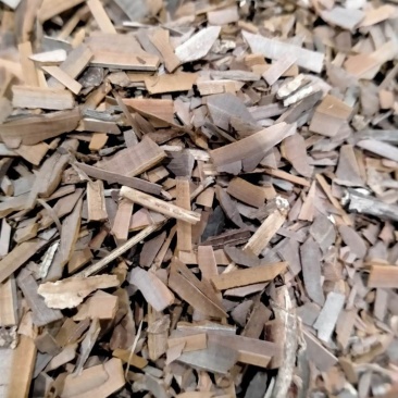 鬼箭羽！大货批发规格齐全！产地直销价格优！