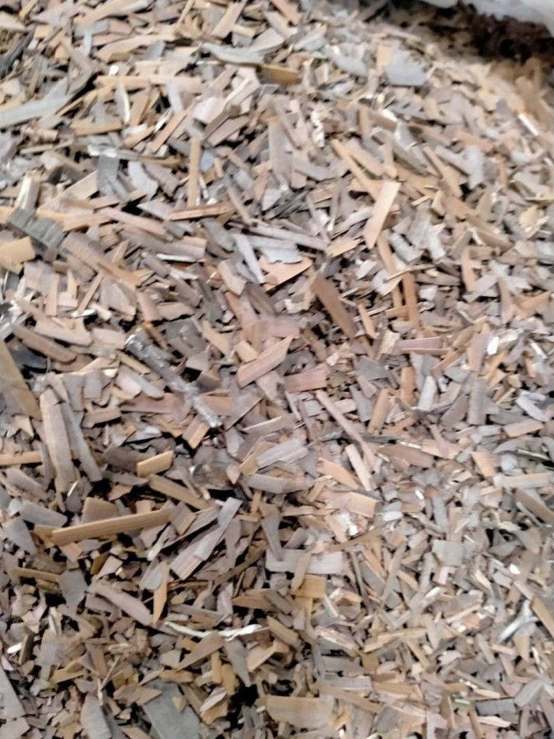 鬼箭羽！大货批发规格齐全！产地直销价格优！