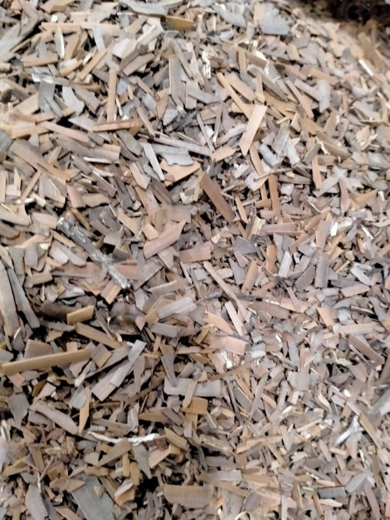 鬼箭羽！大货批发规格齐全！产地直销价格优！
