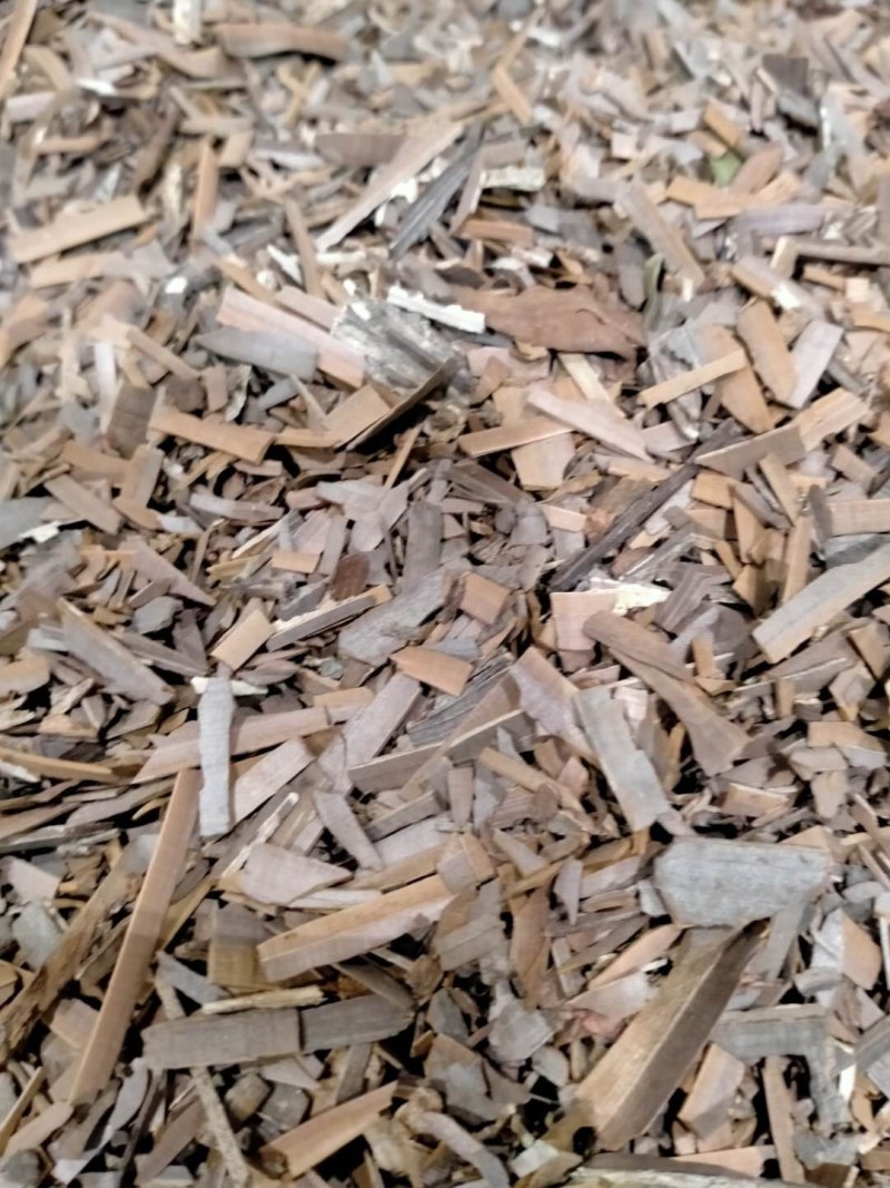 鬼箭羽！大货批发规格齐全！产地直销价格优！