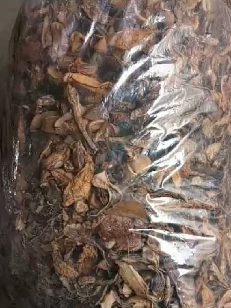 黄牛肝边角料（可做汤料）