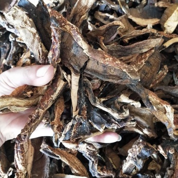 黄牛肝边角料（可做汤料）