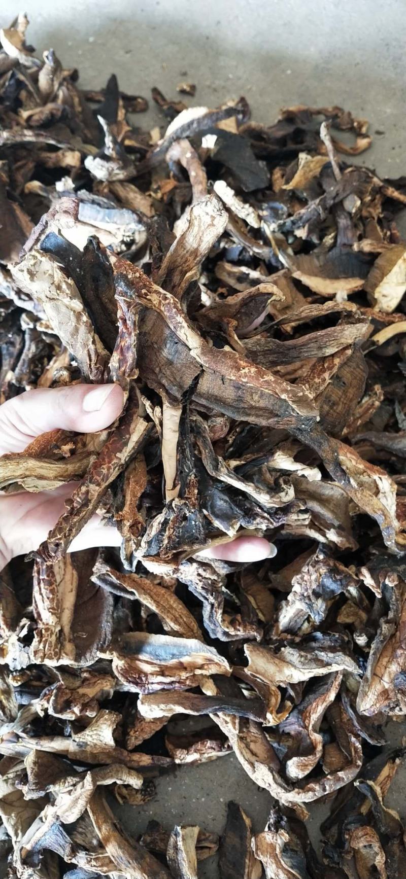 黄牛肝边角料（可做汤料）