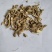 黄芪个棒不规则1000克批发零售品种齐全量大从优