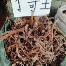 了哥王，全根，新货野生了哥王根雀仔麻九信草