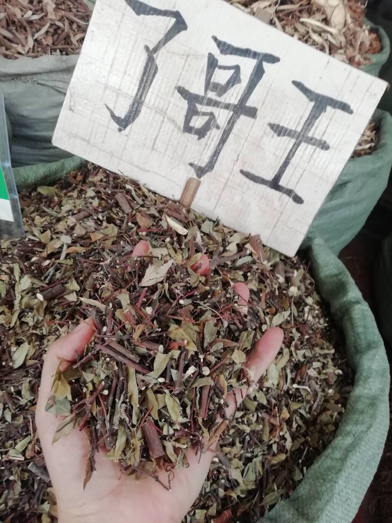 了哥王枝叶，新货野生了哥王枝，雀仔麻九信草