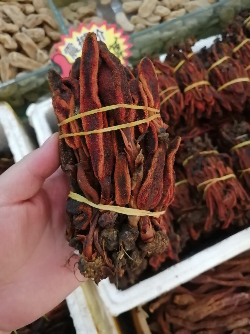 回春草回心草顶天柱云南回春草一手大货批发