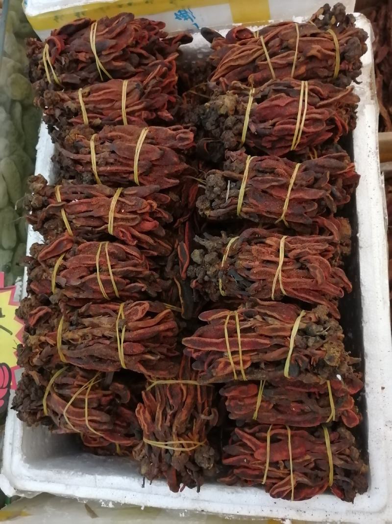 回春草回心草顶天柱云南回春草一手大货批发