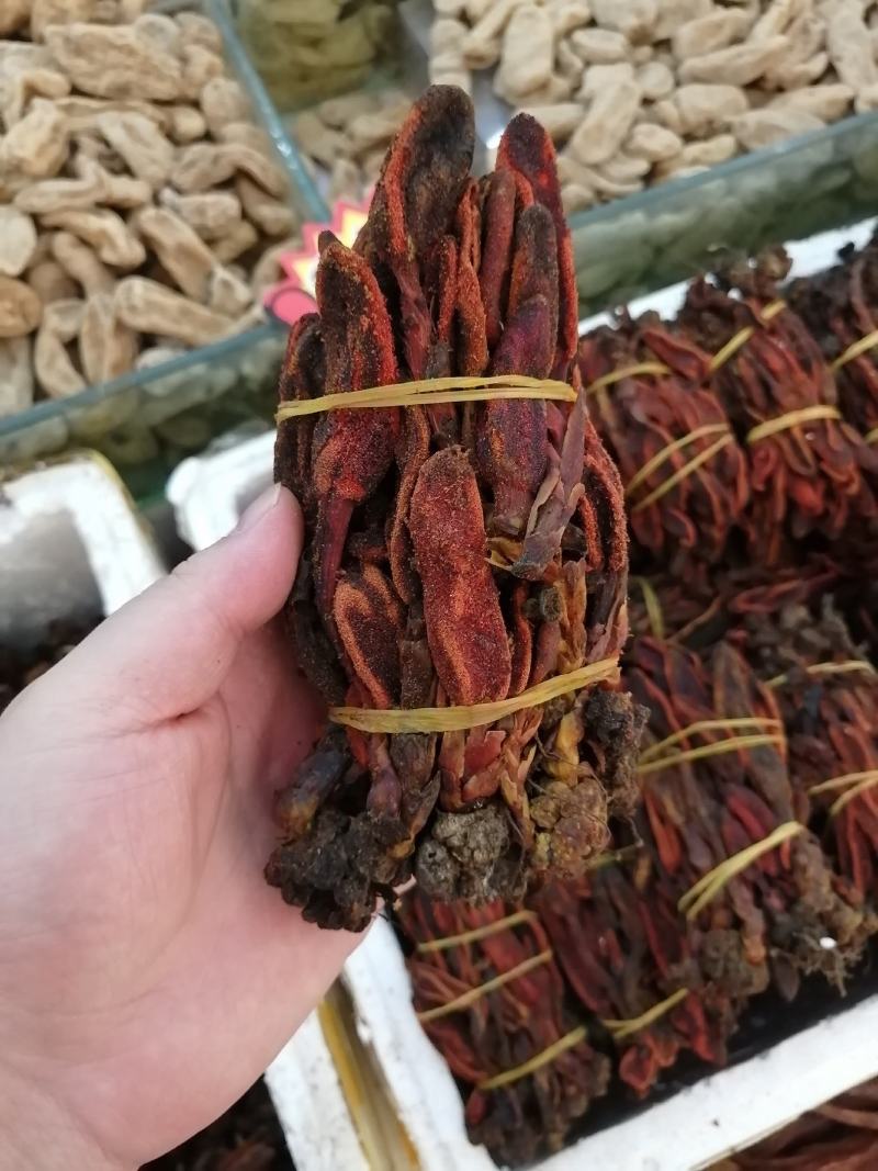 回春草回心草顶天柱云南回春草一手大货批发