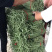 新乐长豆角大量上市中、欢迎新老客商前来采购