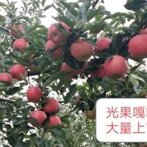 嘎啦苹果