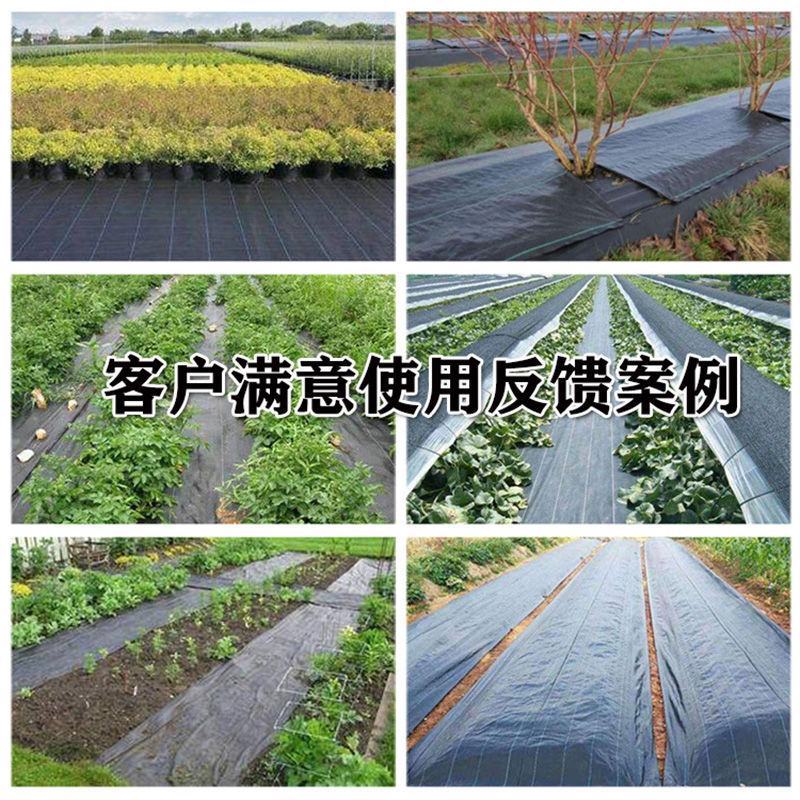 除草布防草布盖草布抑草布防草布厂家大棚果园中草药种植用布