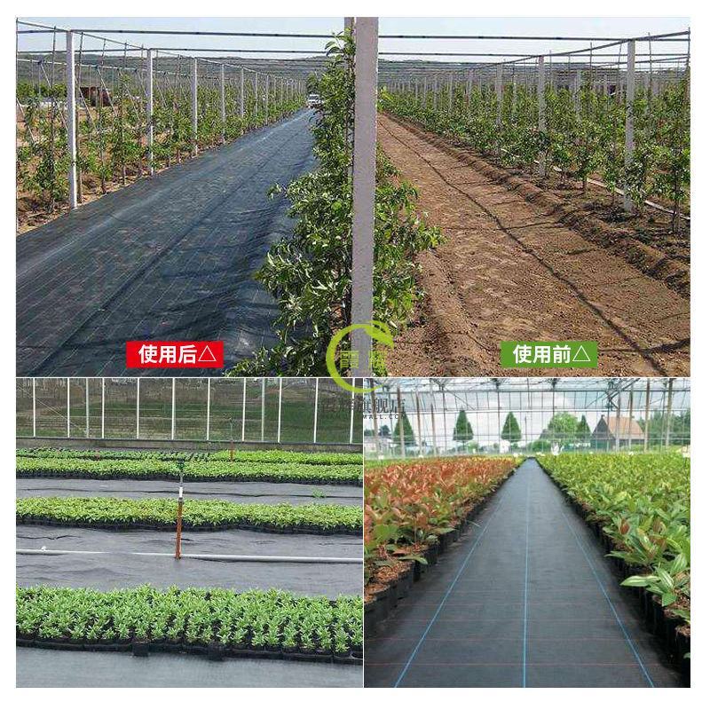 除草布防草布盖草布抑草布防草布厂家大棚果园中草药种植用布