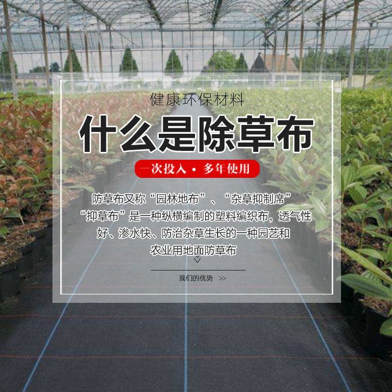 除草布防草布盖草布抑草布防草布厂家大棚果园中草药种植用布