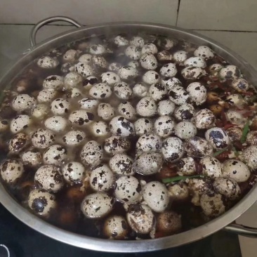 新鲜鹌鹑蛋，质量保证