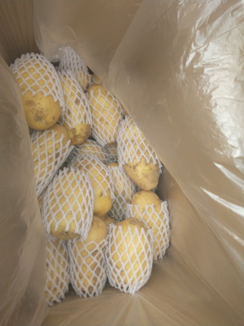 特级土豆，荷兰系列特大基地直发欢迎选购，产地发货