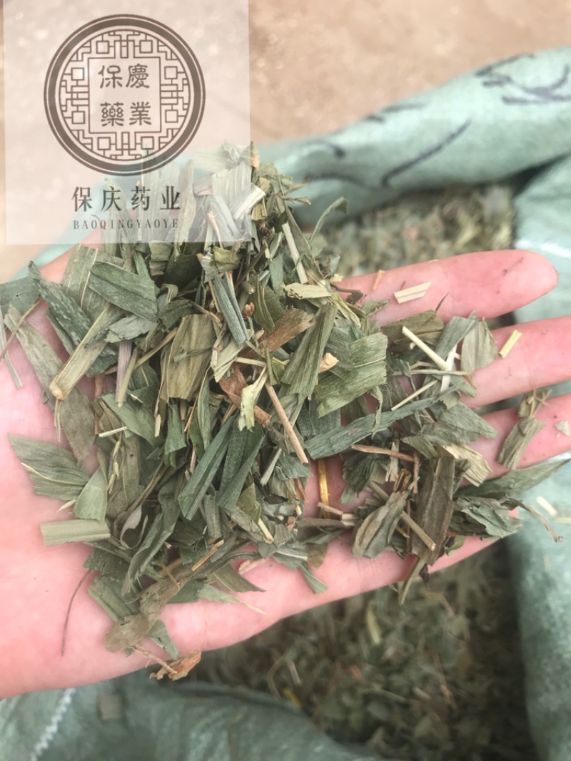 淡竹叶竹叶保庆药业批发淡竹叶实物拍摄