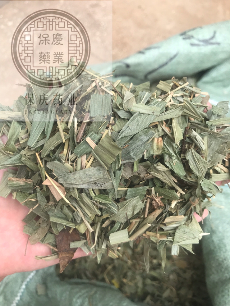 淡竹叶竹叶保庆药业批发淡竹叶实物拍摄
