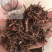茜草纯根茜草实拍正品茜草发货如图过筛货