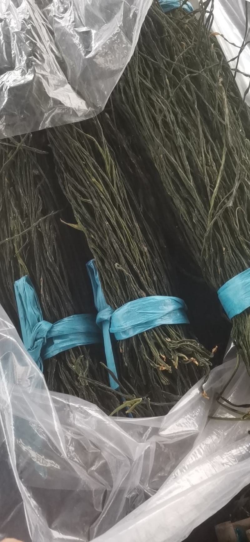 供应精品自然烘干干豆角