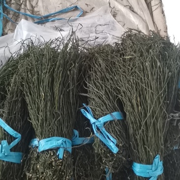 供应精品自然烘干干豆角