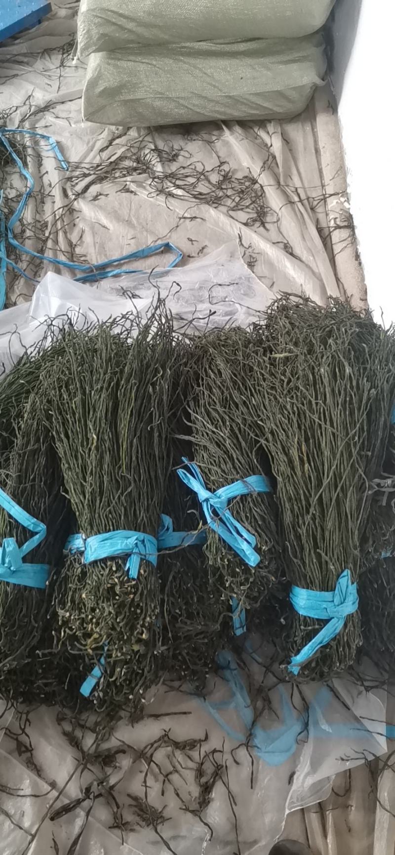 供应精品自然烘干干豆角