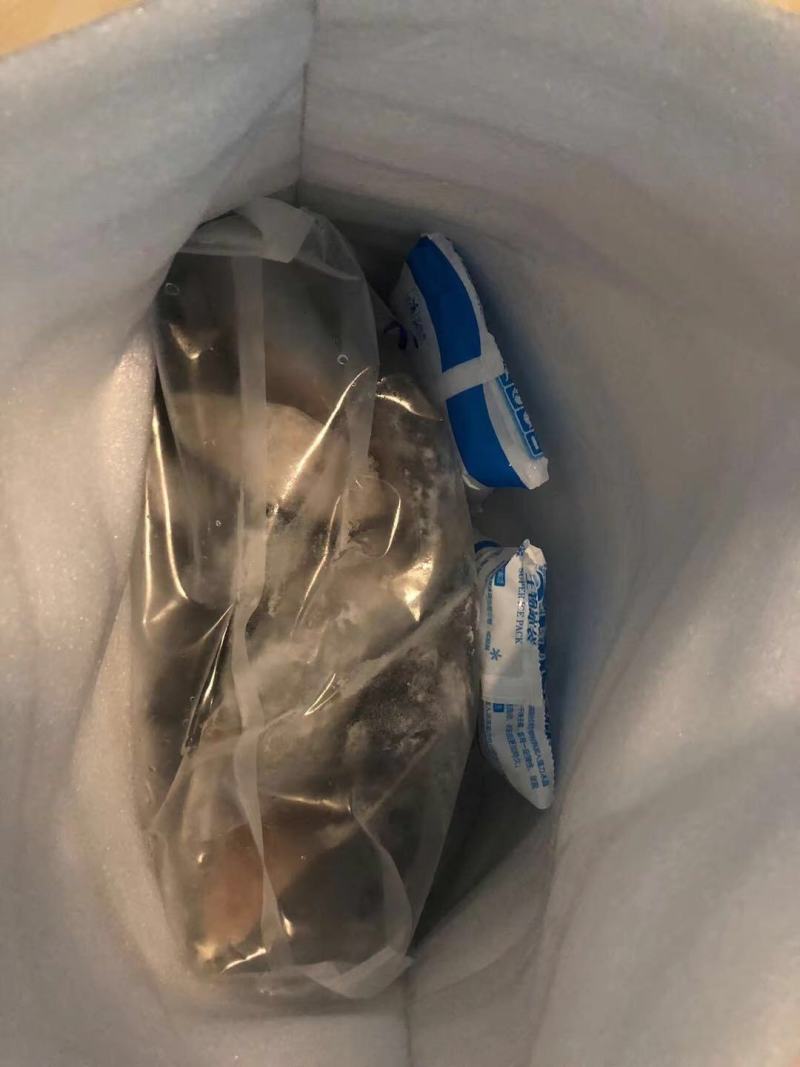 马鲛鱼(去头马鲛鱼块)新鲜现切马交鱼块新鲜鲅鱼块海鱼海鲜