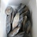 马鲛鱼(去头马鲛鱼块)新鲜现切马交鱼块新鲜鲅鱼块海鱼海鲜