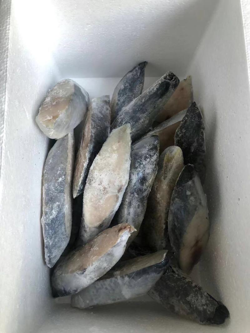 马鲛鱼(去头马鲛鱼块)新鲜现切马交鱼块新鲜鲅鱼块海鱼海鲜