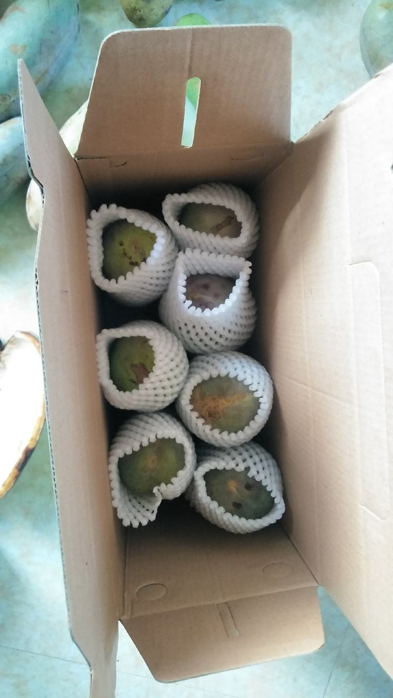 八月瓜100g～200克