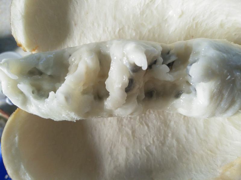 八月瓜100g～200克