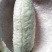 八月瓜100g～200克