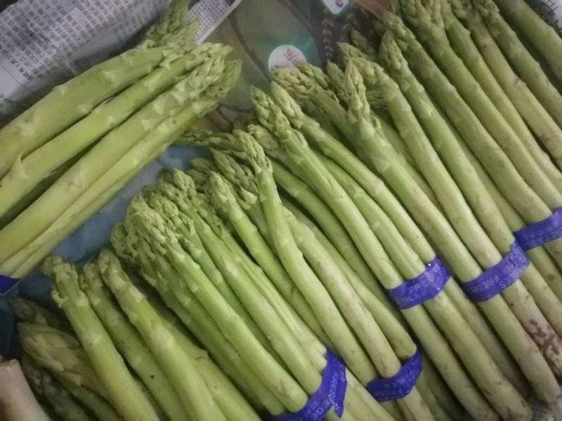 自己种植300亩有机芦笋