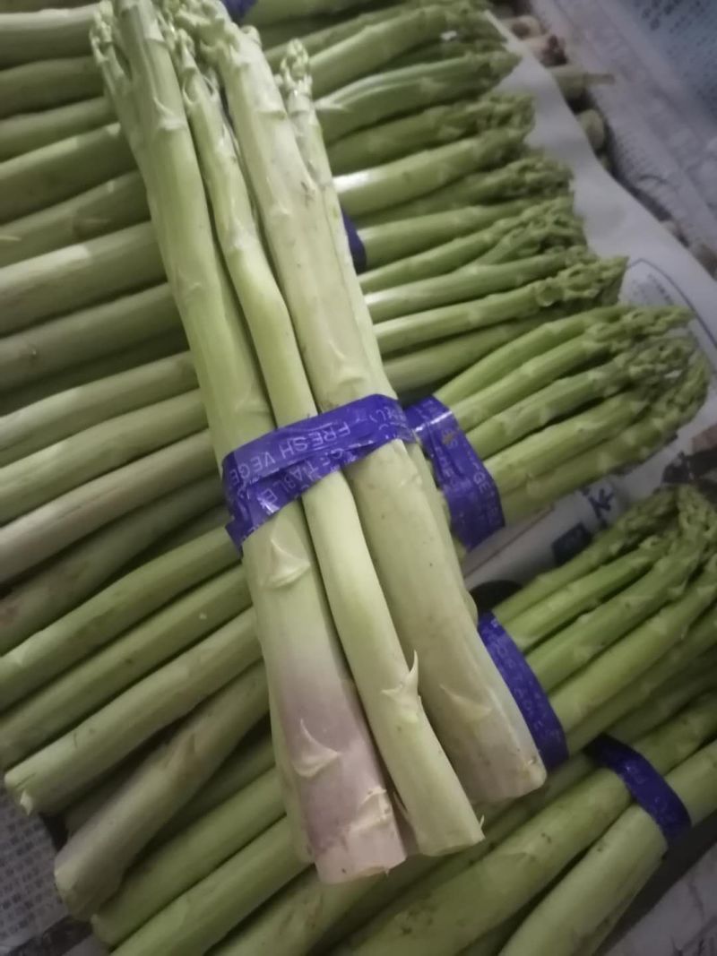 自己种植300亩有机芦笋