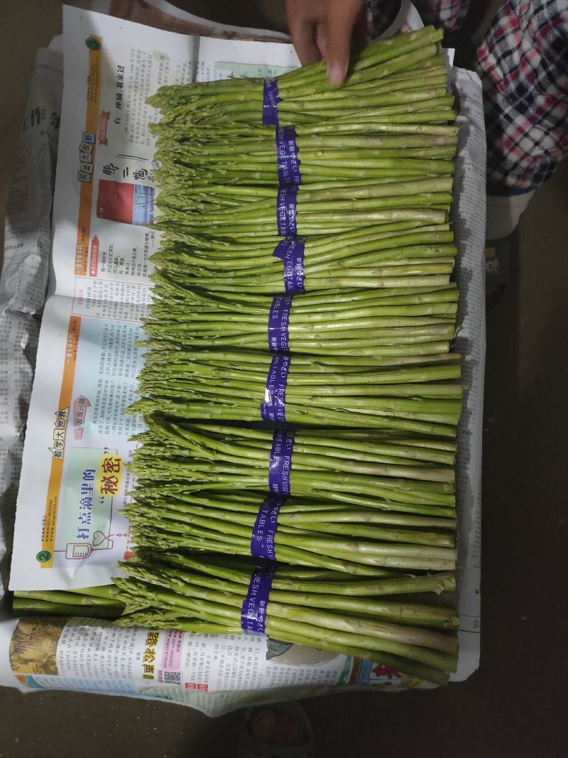 自己种植300亩有机芦笋