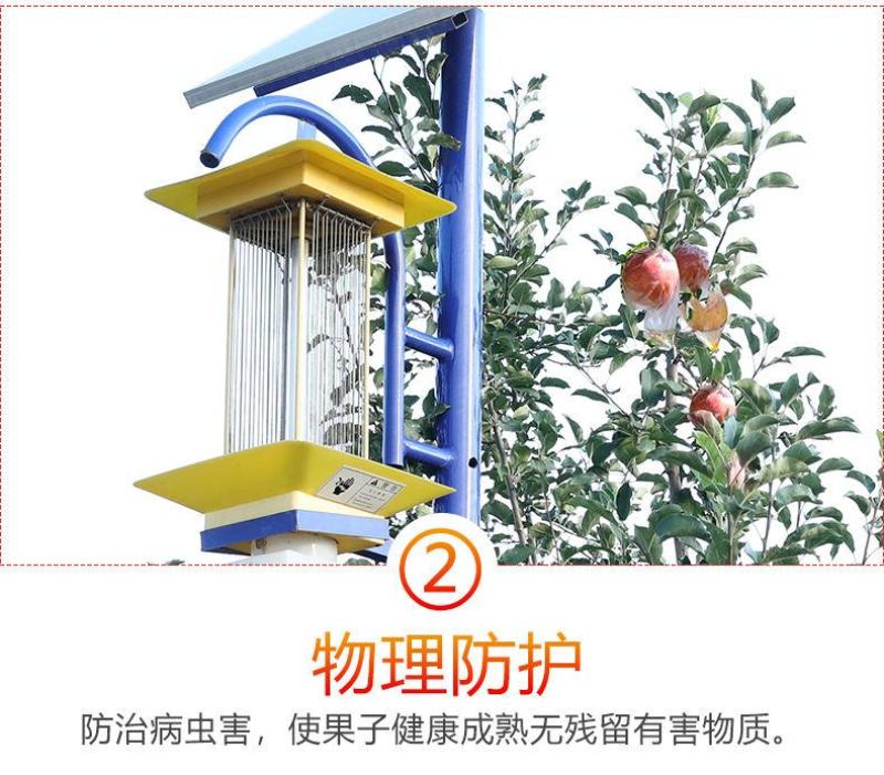 脆甜红富士苹果冰糖心新鲜水果整箱批发1不打蜡带皮包邮