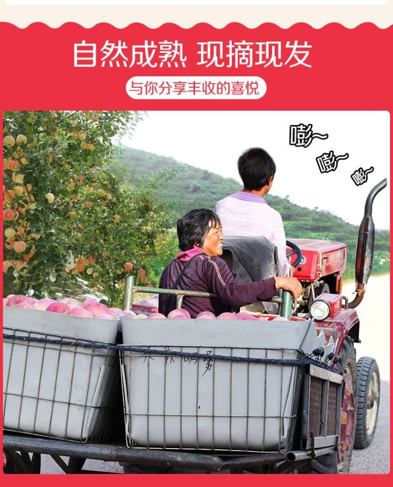 脆甜红富士苹果冰糖心新鲜水果整箱批发1不打蜡带皮包邮