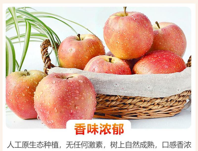 脆甜红富士苹果冰糖心新鲜水果整箱批发1不打蜡带皮包邮