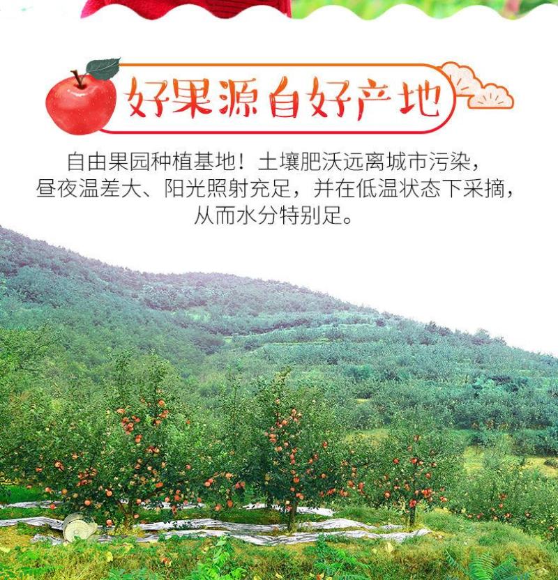 脆甜红富士苹果冰糖心新鲜水果整箱批发1不打蜡带皮包邮