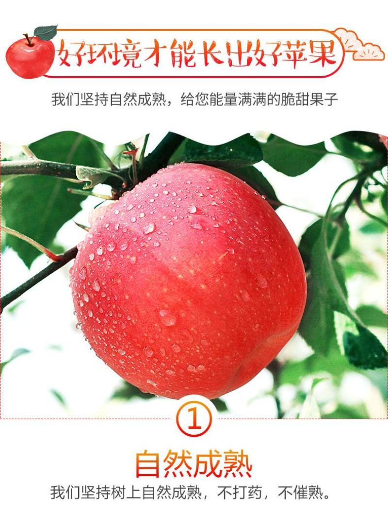脆甜红富士苹果冰糖心新鲜水果整箱批发1不打蜡带皮包邮